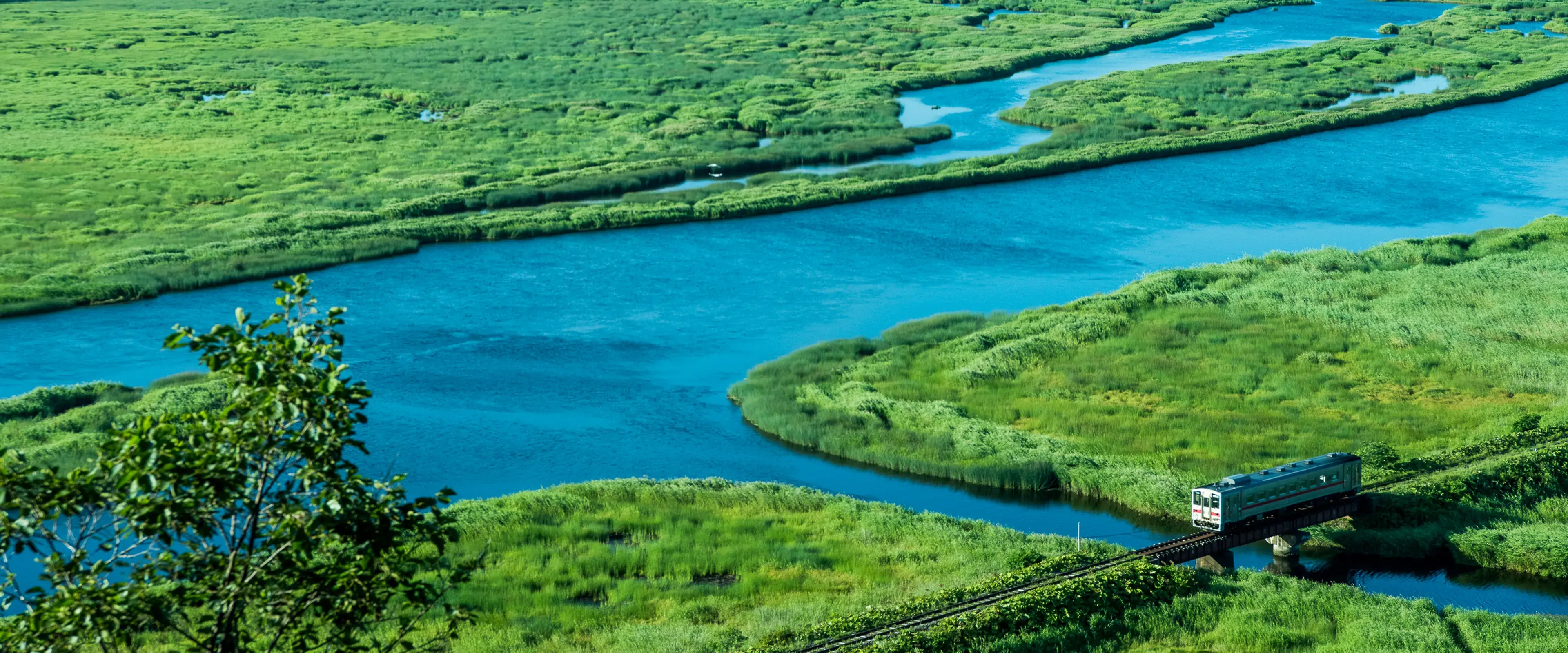 別寒辺牛湿原_花咲線02