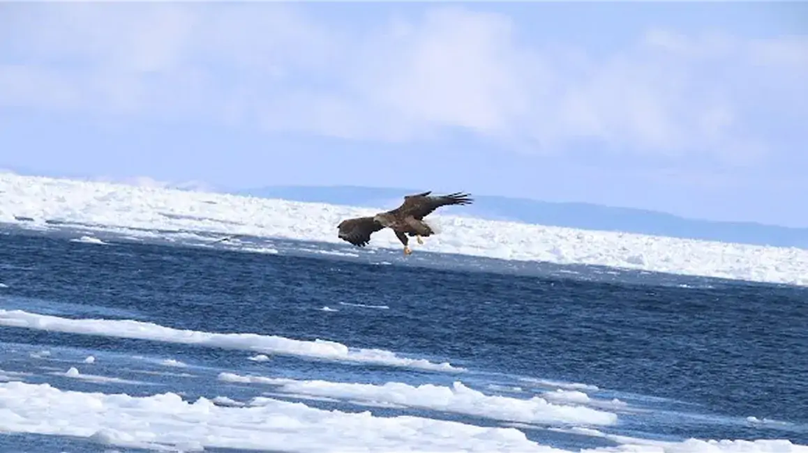 『知床ねむろ』Winter Season Movie 2019