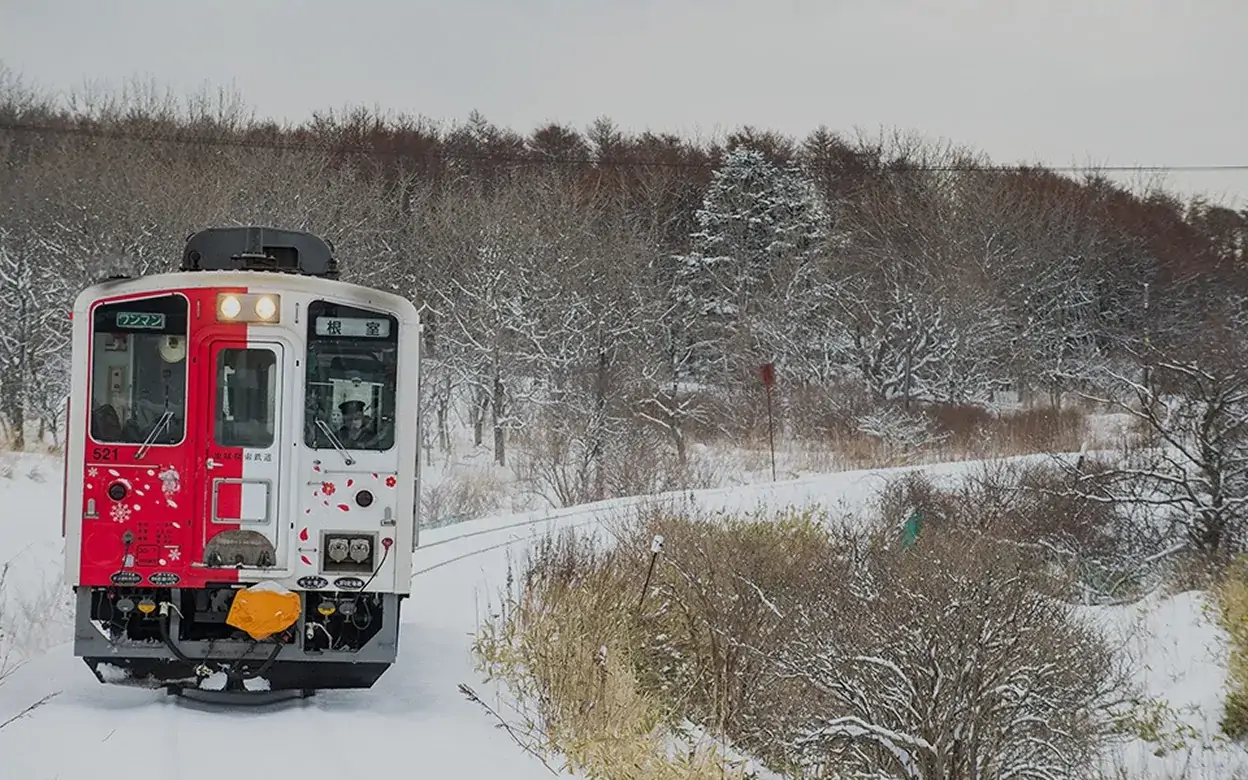 花咲線ラッピングトレイン01