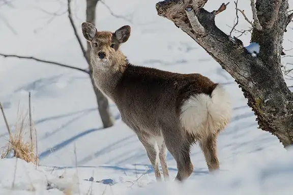 根室市　昆布盛駅周辺