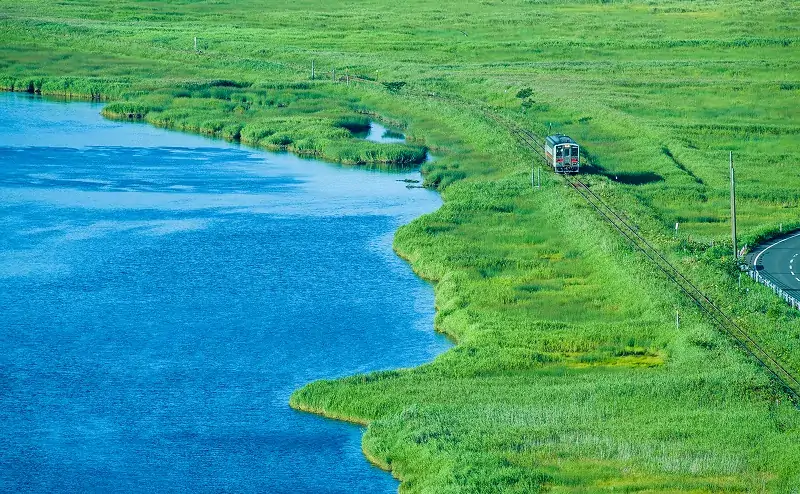 別寒辺牛湿原_花咲線