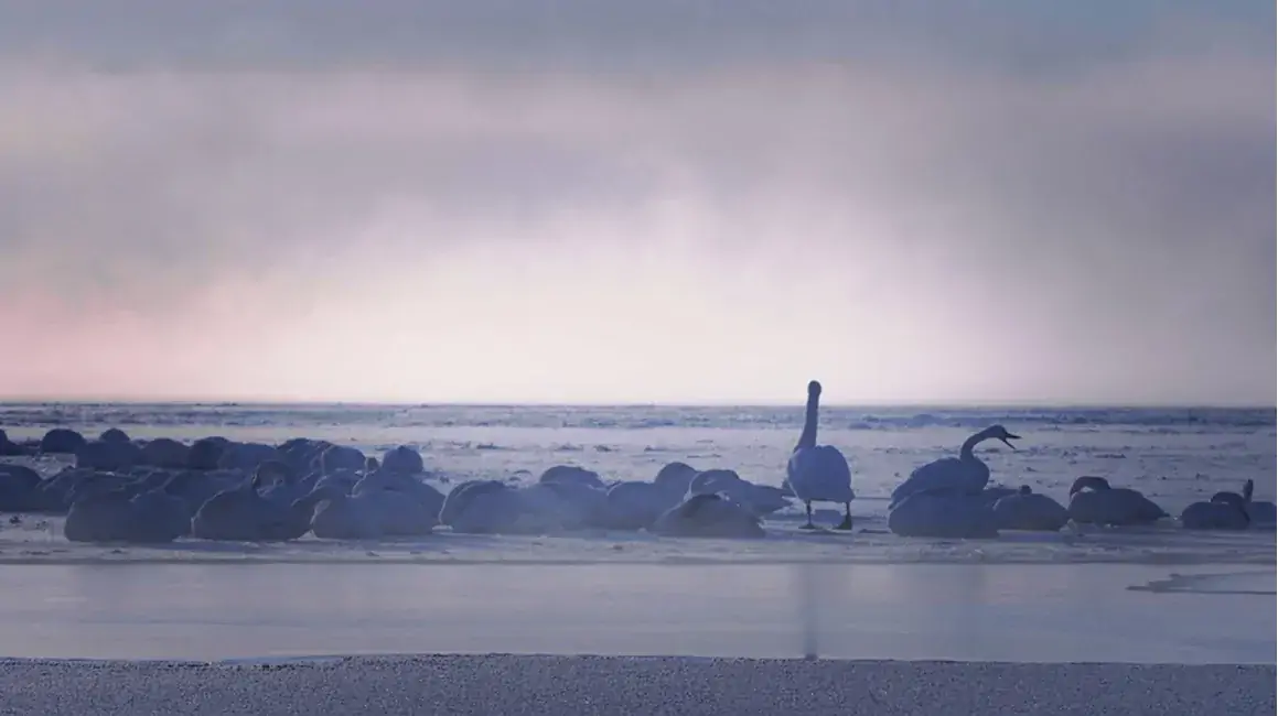 [冬] 空から見る花咲線　厚岸篇